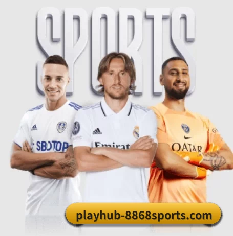 playhub-8868sports.com APP